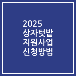 2025 상자텃밭 지원사업 신청방법